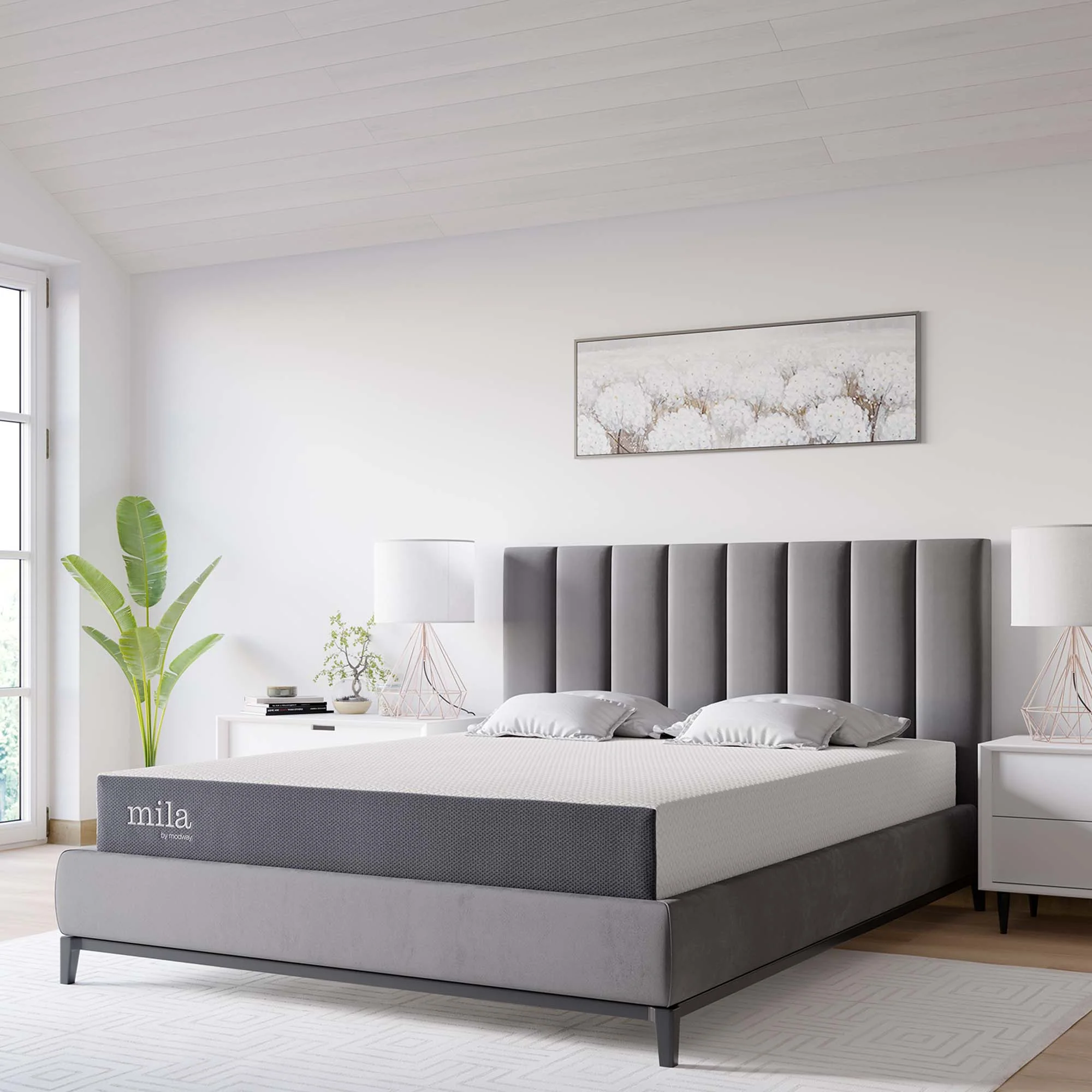 Product image 100